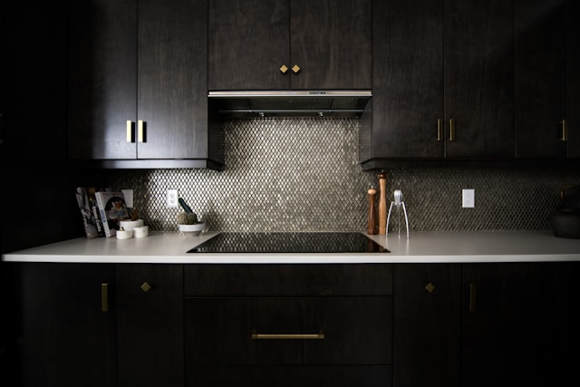 A dark and simly-lit kitchen that can house bed bugs.